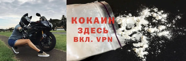гидра Козловка