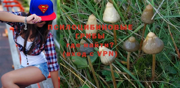 a pvp Козельск