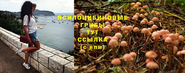 гидра Козловка