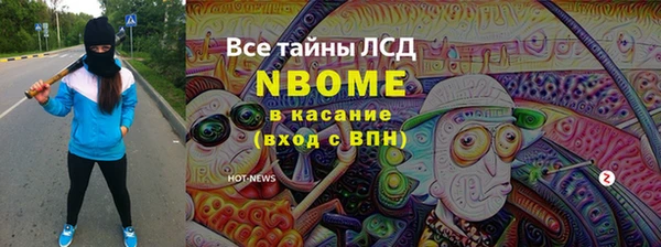 индика Киренск