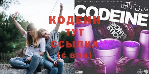 гидра Козловка