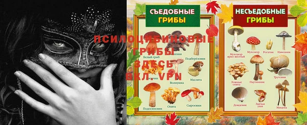 гидра Козловка