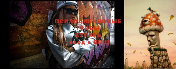гидра Козловка