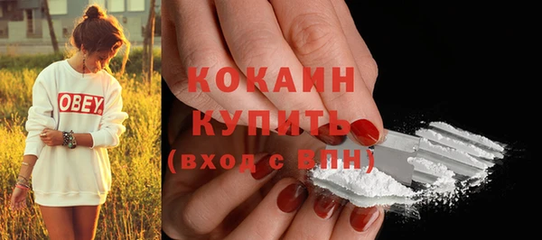 гидра Козловка