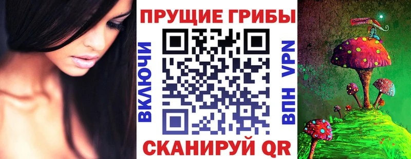 Галлюциногенные грибы Psilocybe  Купить где  Кола 