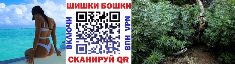 Бошки Шишки сатива  Купить закладки  Кола 